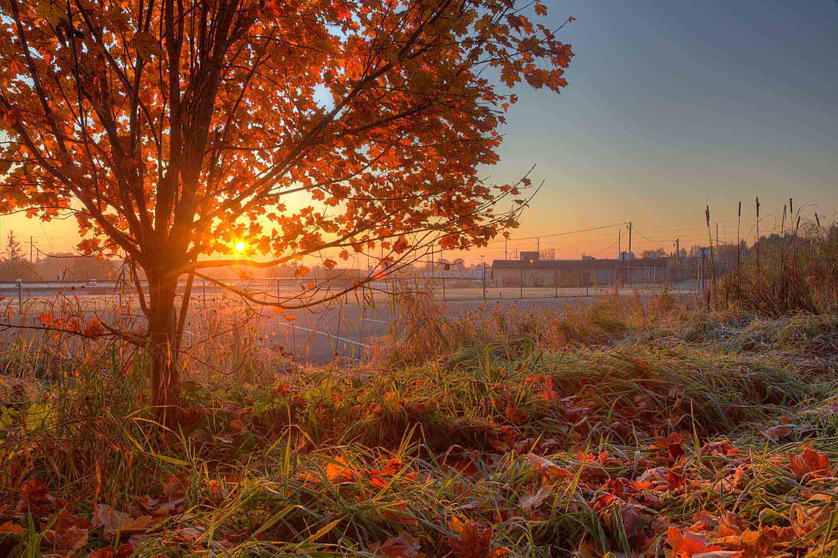 <span>Nature</span>Autumn in Ontario